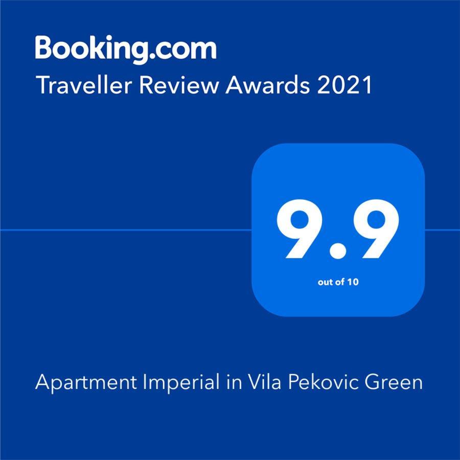 Apartment Imperial In Vila Pekovic Green Zlatibor Kültér fotó